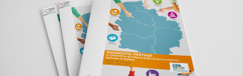 Diagnostic partagé des Hauts-de-France 2019